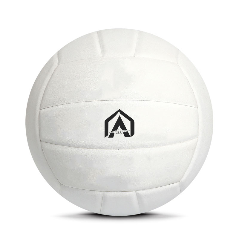 Volley Ball